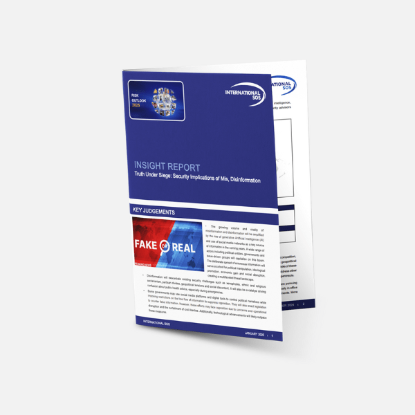 Einblick in den Bericht über Fehlinformation and Desinformation